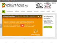 Tablet Screenshot of lotus.aaareynosa.org.mx